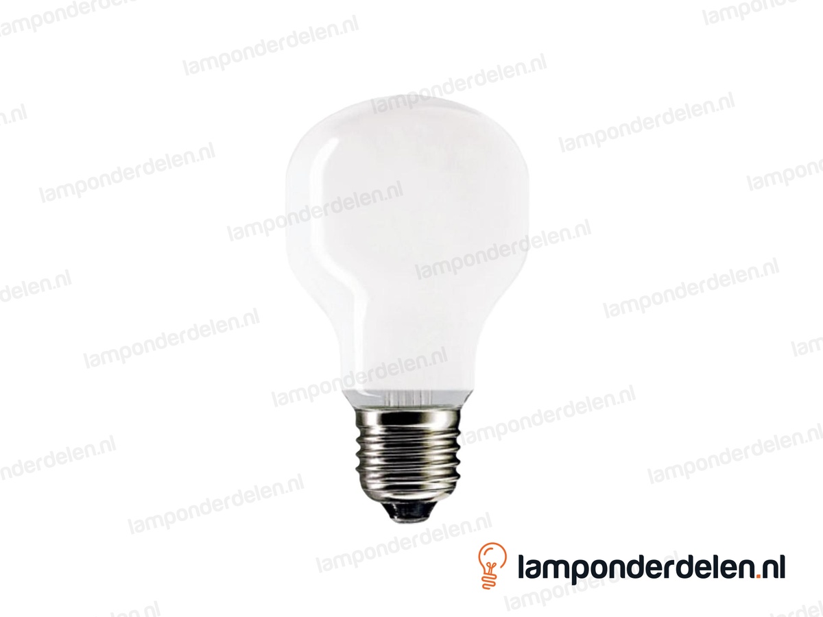 Philips - gloeilamp - standaardlamp - E27 - T60 - mat - 100W